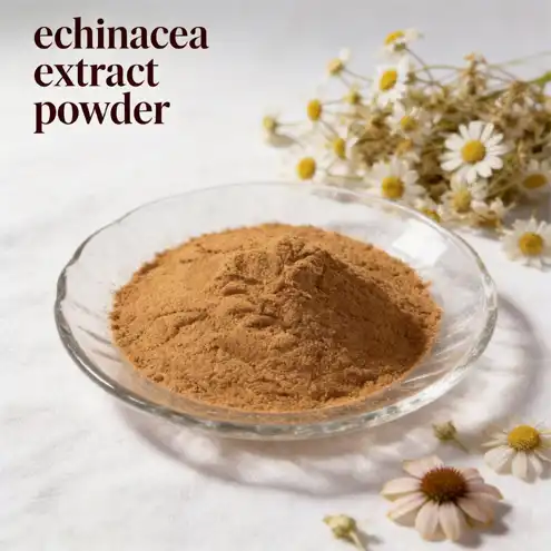 Why choose echinacea extract powder for daily wellness support?